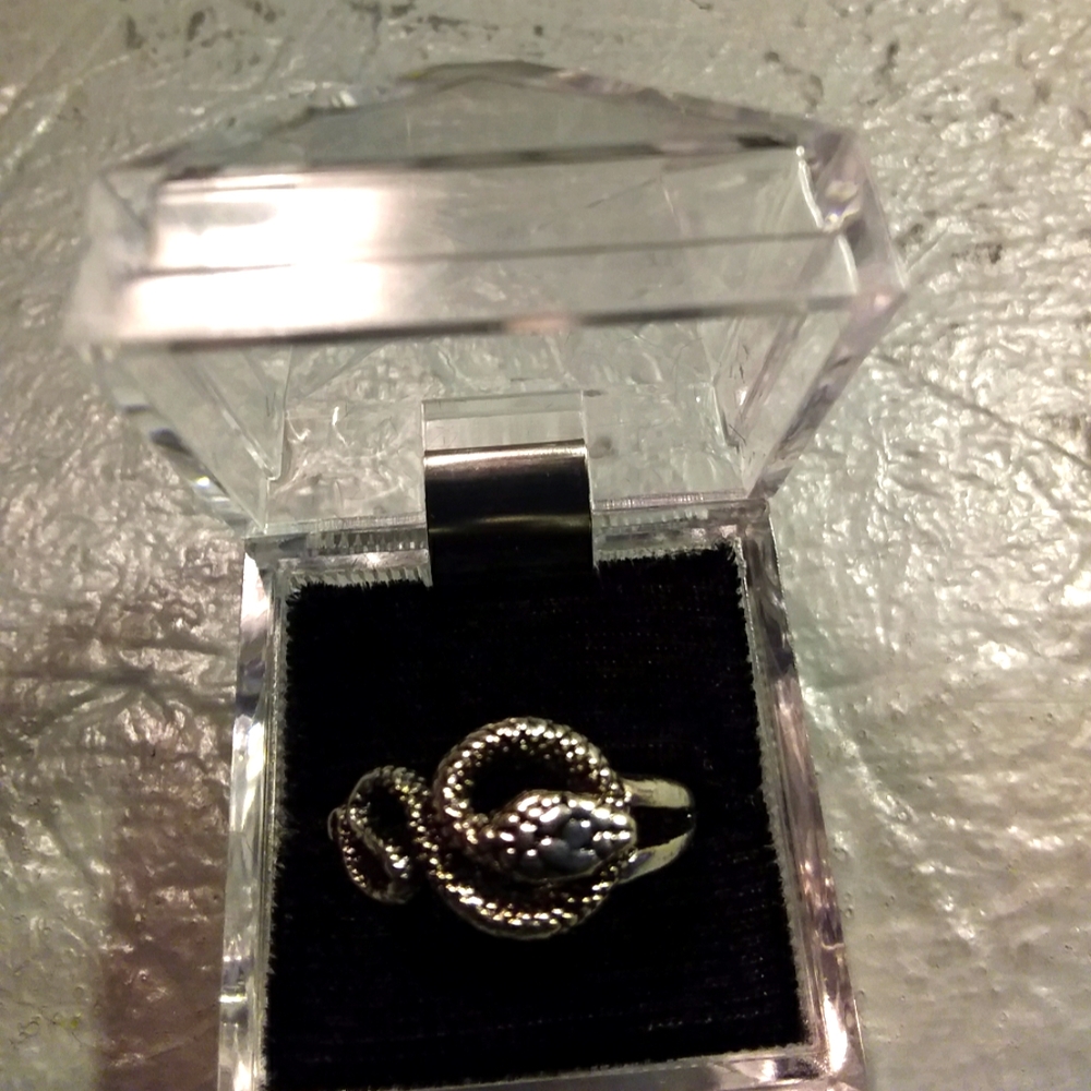 Silver Snake Ring